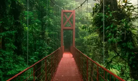 VIAJE VIAJE CENTROAMERICA SAN JOSE ARENAL MONTEVERDE COSTA RICA TVG 4649