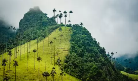 VIAJE VIAJE SUDAMERICA COLOMBIA BOGOTA PEREIRA CARTAGENA TVG 4729