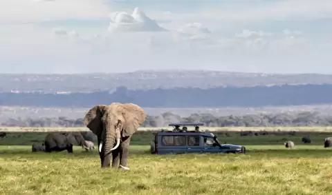 Viaje SAFARIMORANICLSICO