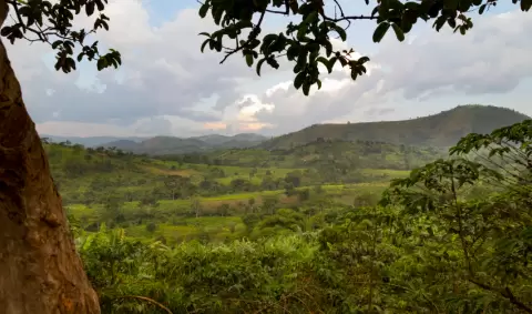 VIAJE VIAJE AFRICA UGANDA ENTEBBE BWINDI NORTE SUR TVG 4797