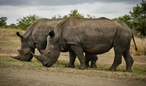VIAJE RUTA GRAN AFRICA DEL SUR
