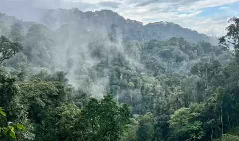 VIAJE SAFARI EN LA SELVA RUANDESA
