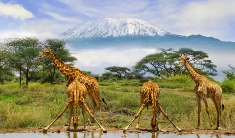VIAJE VIAJE AFRICA KENIA SAMBURU ABERDARES NAKURU TVG 4962