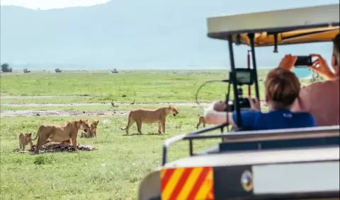 VIAJE VIAJE AFRICA SERENGUETI KARATU TVG 5001