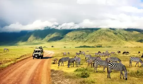 VIAJE VIAJE AFRICA TANZANIA ARUSHA MANYARA SERENGUETI KARATU TVG 5002