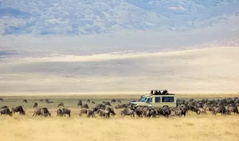 VIAJE VIAJE AFRICA KENIA AMBOSELI TANZANIA MANYARA SERENGUETI TVG 5015