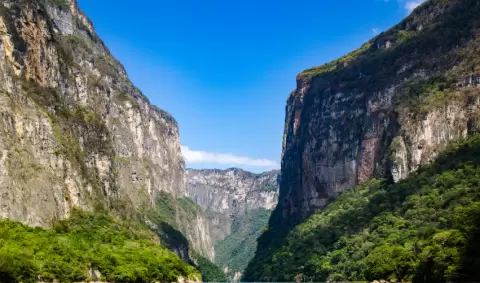 VIAJE SAN CRISTOBAL CASAS FINCA CAFETERA TVG 5020