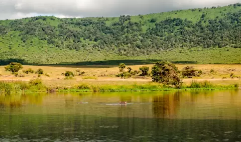 VIAJE VIAJE AFRICA TANZANIA ARUSHA EYASI KARATU SERENGUETI KARATU TVG 5022