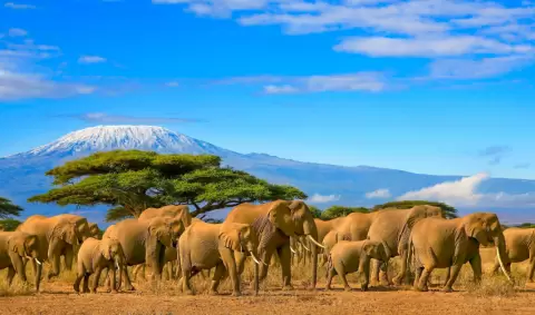 VIAJE VIAJE AFRICA TANZANIA ARUSHA EYASI KARATU SERENGUETI KARATU TVG 5022
