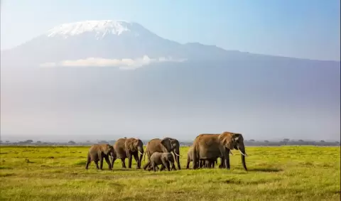 VIAJE VIAJE AFRICA TANZANIA KARATU KENIA TVG 5024