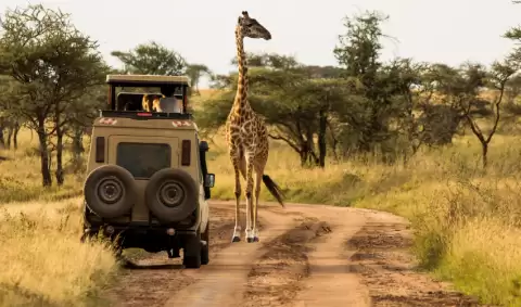 Viaje viaje-africa-kenia-maasai-mara-nairobi-tvg-5026