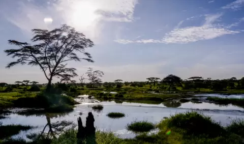 VIAJE VIAJE AFRICA TANZANIA ARUSHA NGORONGORO KENIA AMBOSELI TVG 5030