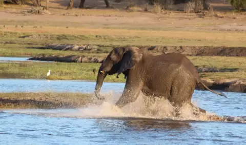 VIAJE VIAJE AFRICA ZIMBABUE VICTORIA FALLS TVG 5038