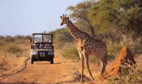 VIAJE VIAJE AFRICA KENIA ABERDARE NAKURU MAASAI MARA TVG 5065