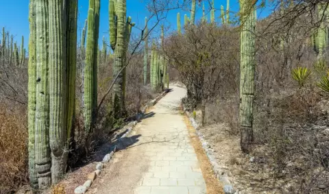 VIAJE VIAJE TEHUACAN PUEBLA MEXICO TVG 5163