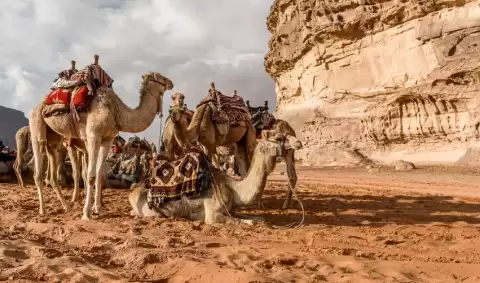 Viaje viaje-medio-oriente-amman-petra-wadi-rum-aqaba-jordania-tvg-5274