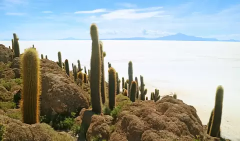 VIAJE ECUADOR GALAPAGOS TVG 5526
