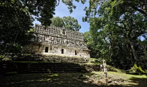 VIAJE VIAJE PALENQUE GUATEMALA TVG 5656