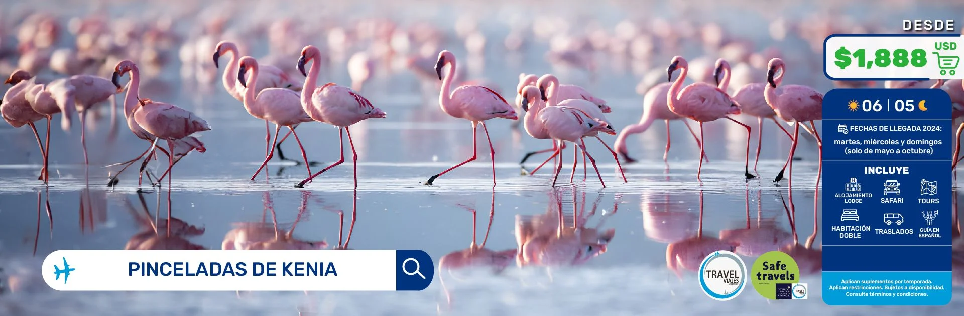 PINCELADAS DE KENIA  DESDE CANCÚN