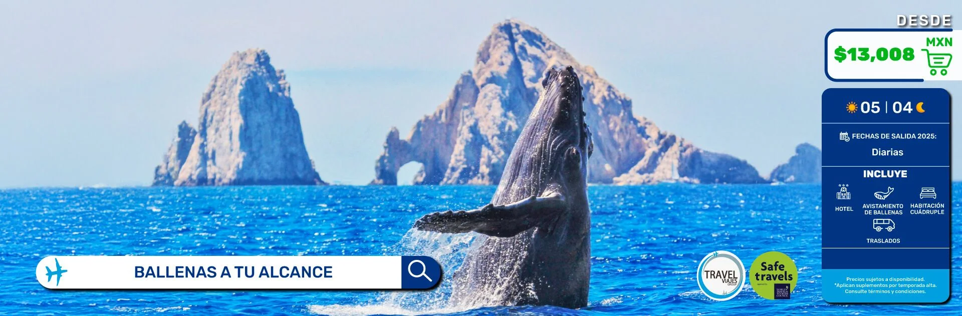 BALLENAS A TU ALCANCE  DESDE PUEBLA