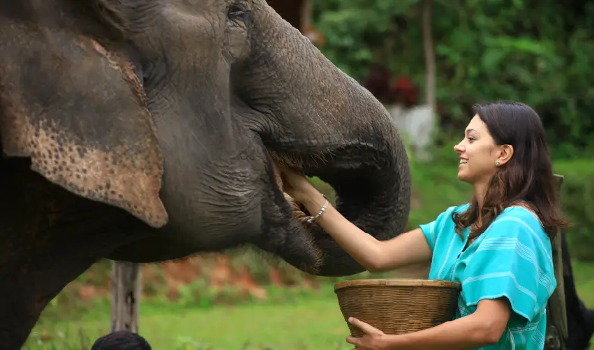 Viaje tailandia-triangulo-de-oro  desde Cuernavaca