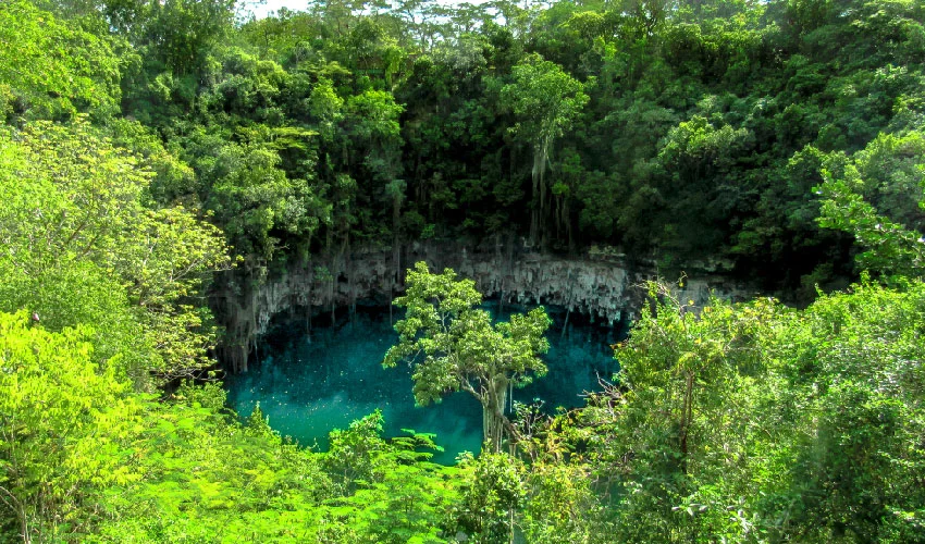 VIAJE REPÚBLICA DOMINICANA A TÚ ALCANCE  DESDE MONTERREY