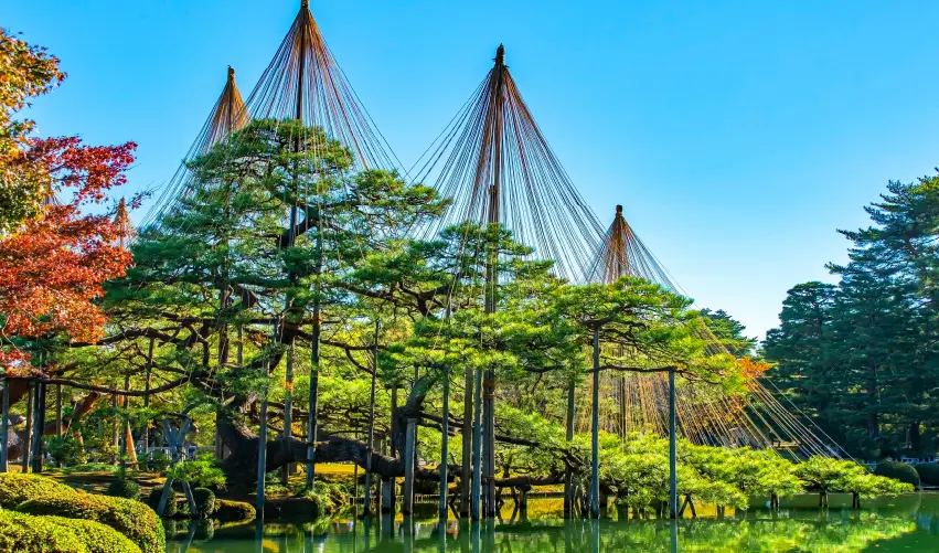 Viaje camino-de-kumano  desde Chihuahua