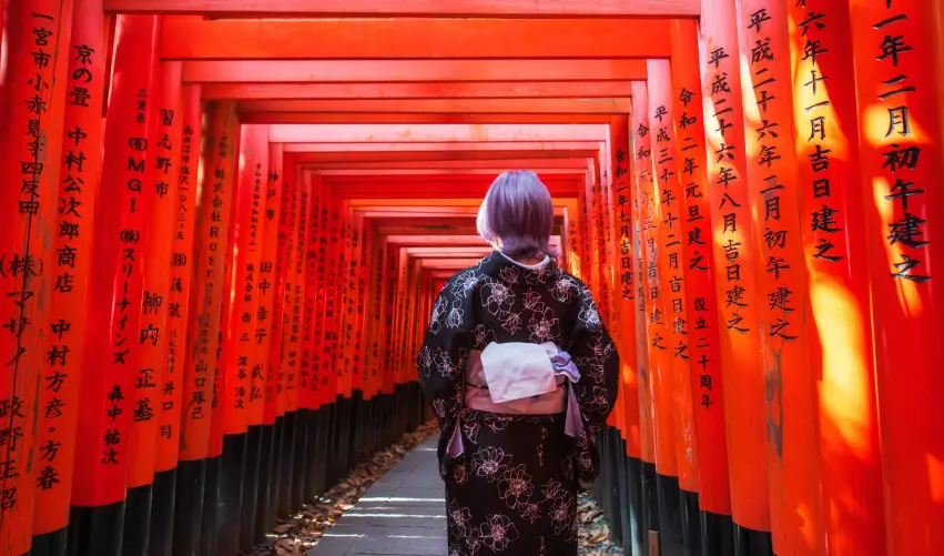 Viaje tentaciones-de-japon  desde Cuernavaca