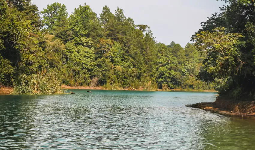 Viaje chiapas-tradicional  desde Veracruz