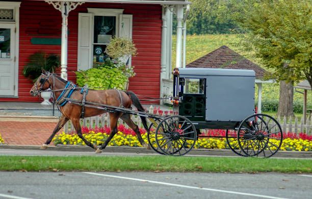 VIAJE WASHINGTON Y AMISH 