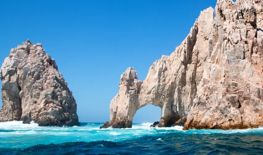VIAJE BALLENAS A TU ALACANCE  DESDE VERACRUZ
