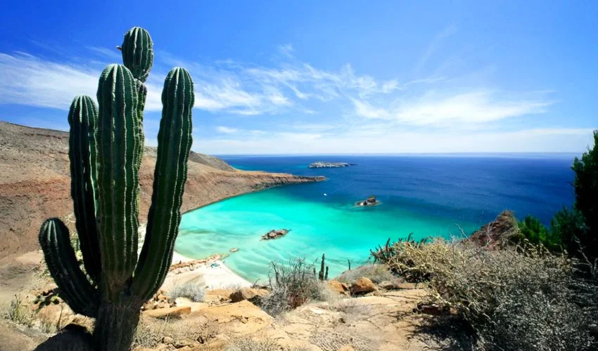 VIAJE LA PAZ Y SUS PLAYAS (GDL)  DESDE AGUASCALIENTES