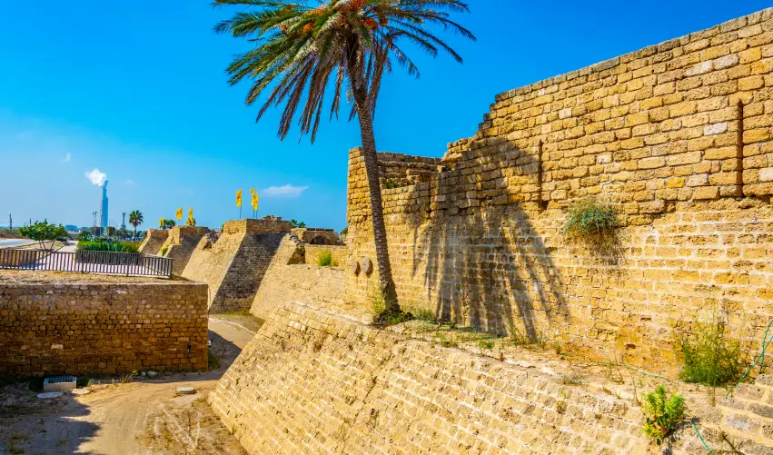 Viaje israel-entre-costas-y-desiertos  desde Chihuahua