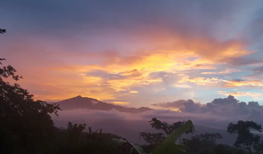 Viaje costaricaysucaribe  desde Veracruz