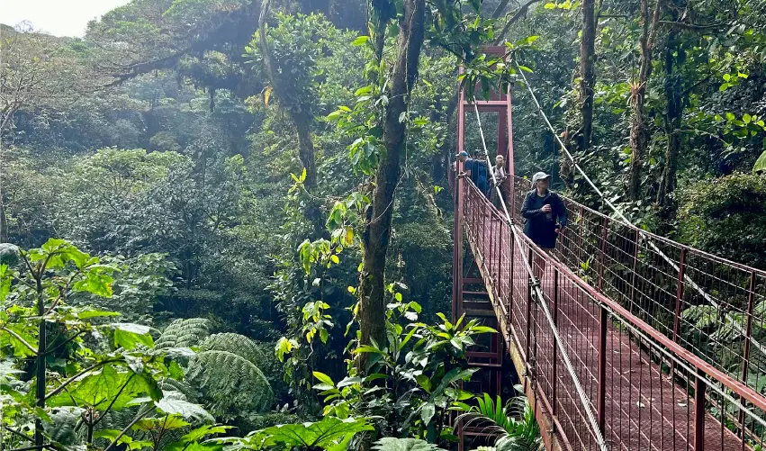 VIAJE GLAMPING EN EL BOSQUE NUBOSO  DESDE VERACRUZ