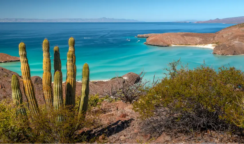 Viaje la-paz-con-los-cabos  desde Mérida