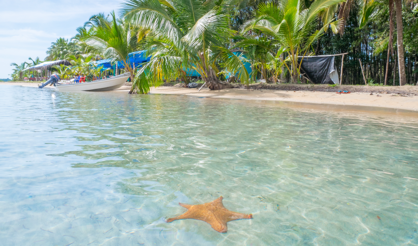 Viaje caribe-bocas-del-toro  desde Cuernavaca