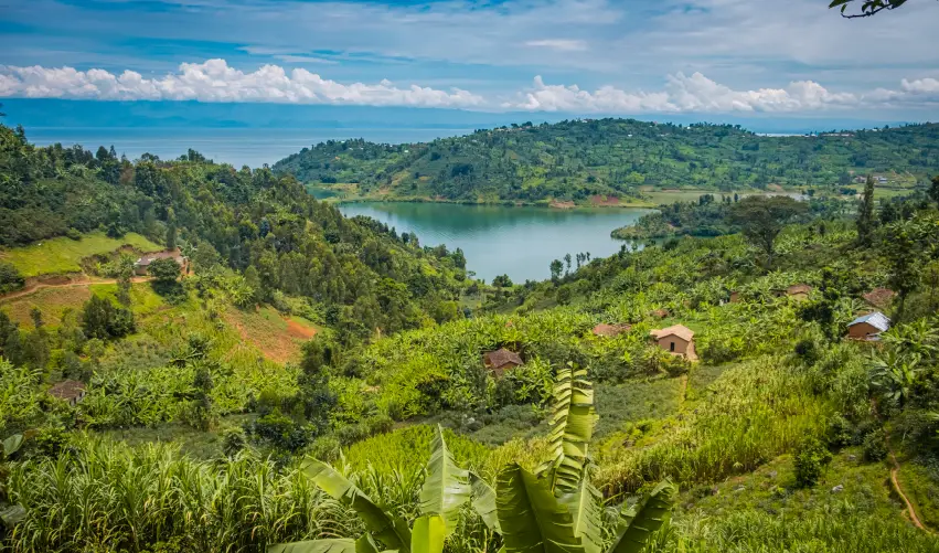 Viaje safari-de-primates-en-ruanda  desde Chihuahua