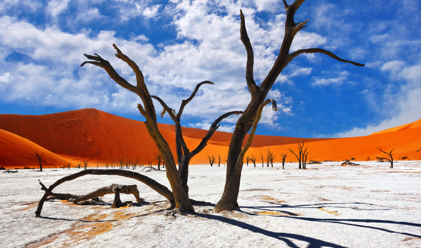Viaje desiertos-de-namibia  desde Cancún