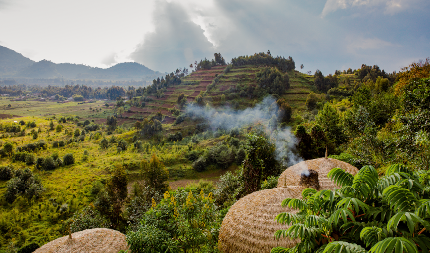Viaje safari-de-gorilas-en-ruanda 