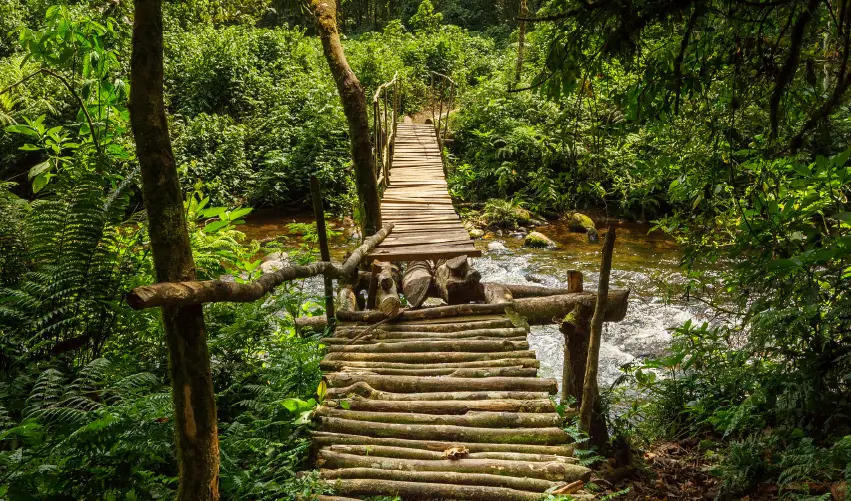 Viaje expedicion-gorila-por-kampala  desde Cancún