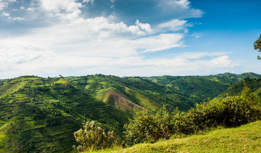 VIAJE SAFARI DE GORILAS EN BWINDI  DESDE CUERNAVACA