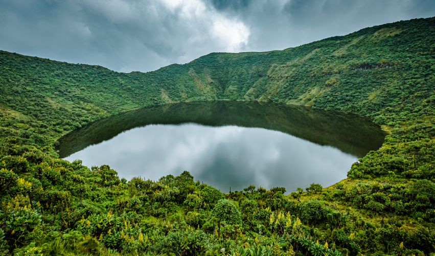 Viaje safari-total-en-ruanda  desde Cuernavaca