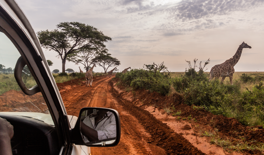 Viaje descubriendo-uganda-y-ruanda 