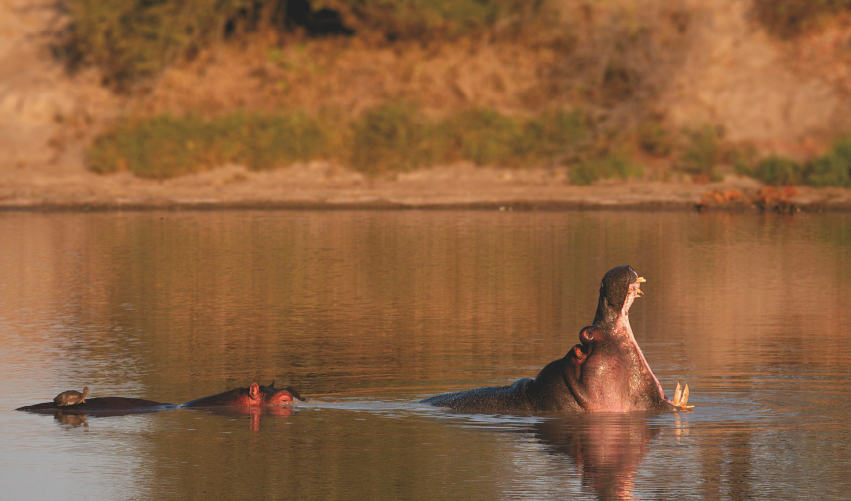 Viaje GRANRUTASUR  desde Chihuahua