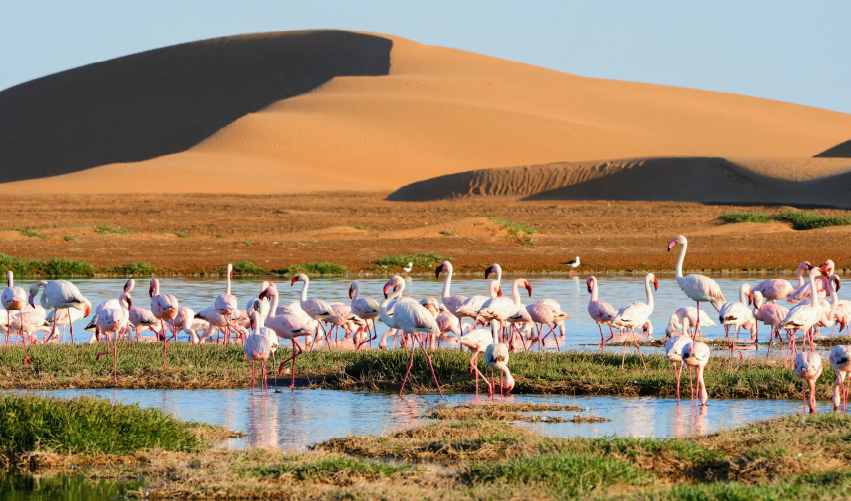Viaje el-sur-de-namibia  desde Cuernavaca