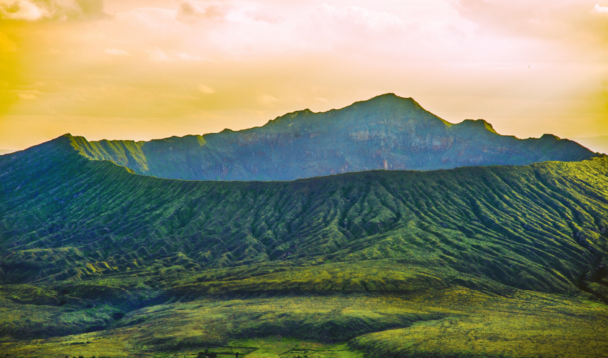 Viaje safari-ziwa-ndogo  desde Cuernavaca