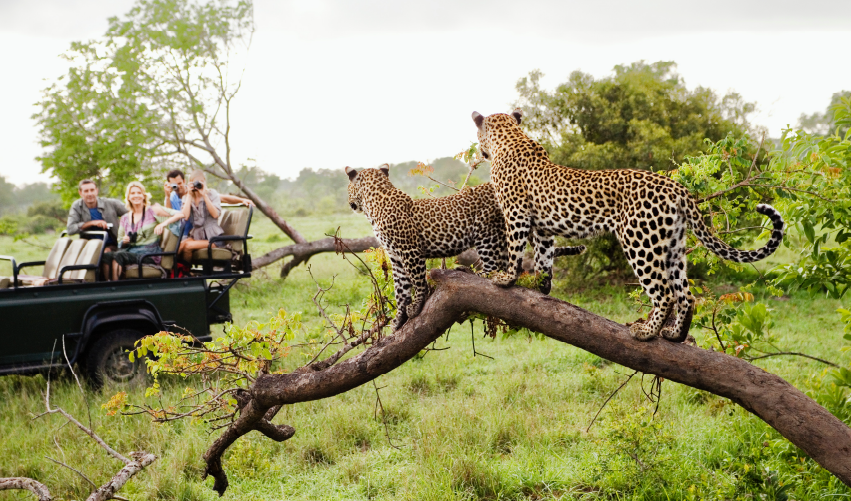 VIAJE SAFARI KIPEKEE CLÁSICO  DESDE PUEBLA