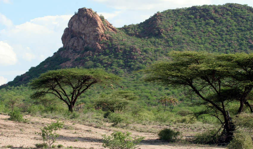 Viaje safari-kipekee-clasico  desde Cuernavaca
