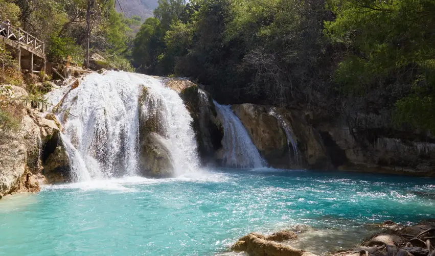 VIAJE CHIAPAS BÁSICO  DESDE MÉRIDA